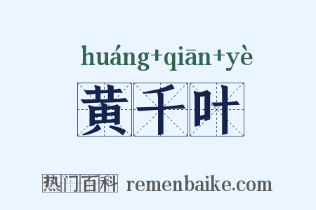 黄千叶是什么意思的图片